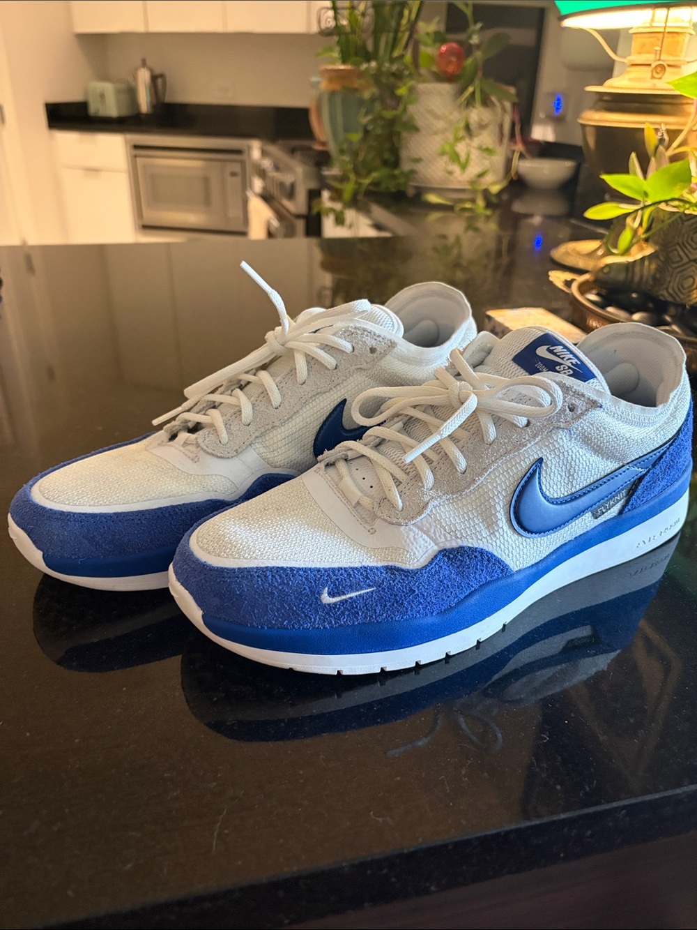 Nike SB Men’s White and Blue Low-Top Sneakers